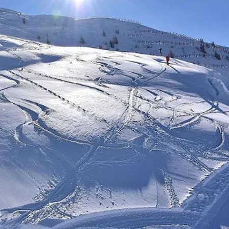 Ski * ססטריארה